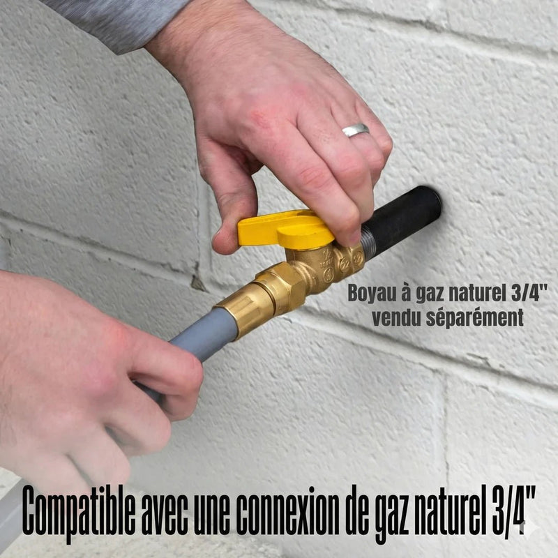 Load image into Gallery viewer, Génératrice WGen14500TFc Tri - Carburant | 18 000 Watts & Moteur V - Twin - Genexpert