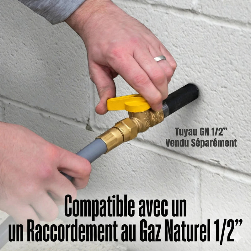 Chargez l'image dans la visionneuse de la galerie, Westinghouse WGen11500TFc - Génératrice tri - carburant avec capteur de CO - Genexpert