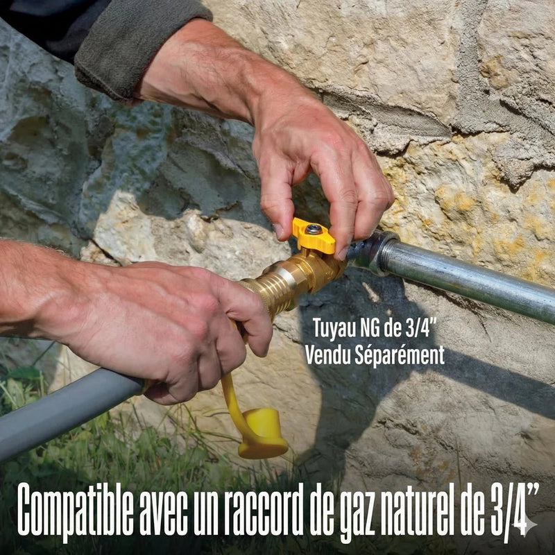 Load image into Gallery viewer, Westinghouse WGen20000TFc - Génératrice à onduleur avec capteur de CO à triple carburants - Genexpert