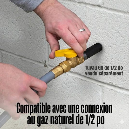 Génératrice Portable WGen9500TFc Tri - Carburant | 12 500 Watts & Gaz Naturel - Genexpert