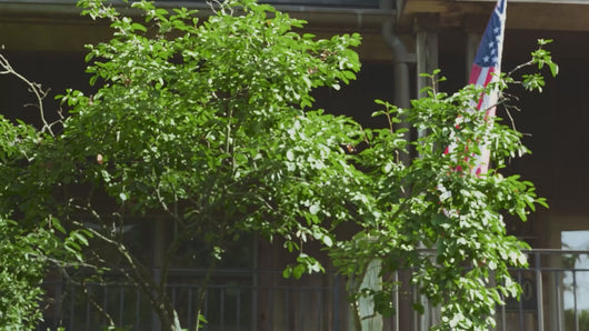 Vidéo de présentation de la génératrice à onduleur Westinghouse iGen5000DFc EFI montrant son fonctionnement bicarburant, son panneau de contrôle et ses usages en camping ou en alimentation d’appoint.