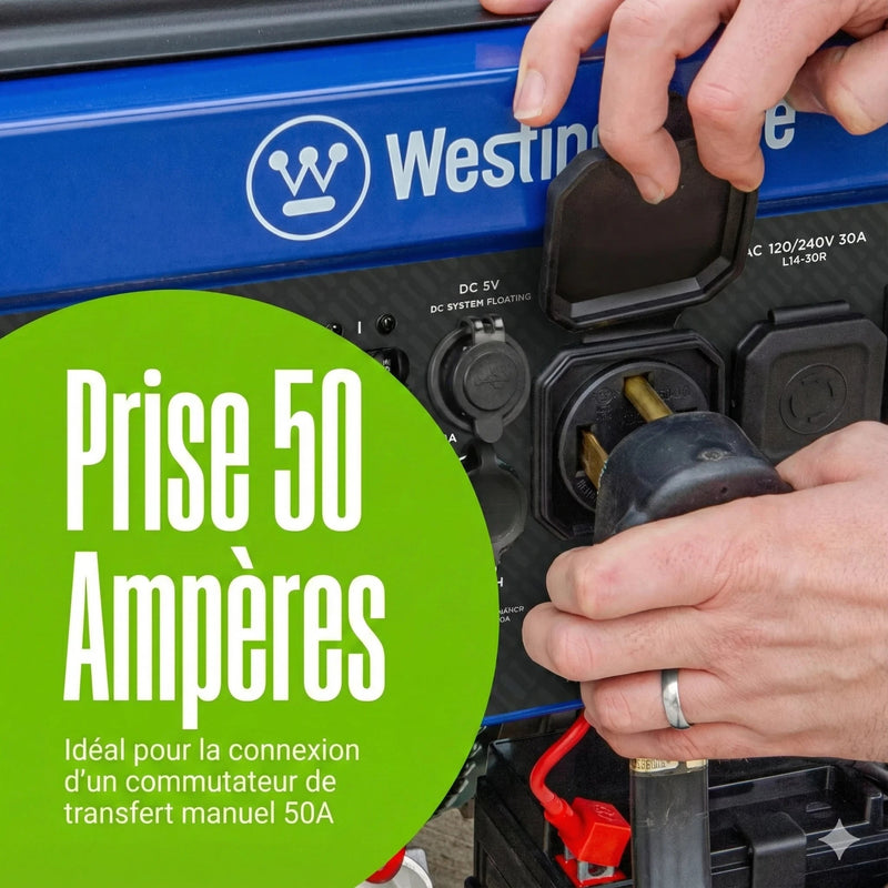 Chargez l'image dans la visionneuse de la galerie, Westinghouse WGen11500TFc - Génératrice tri - carburant avec capteur de CO - Genexpert
